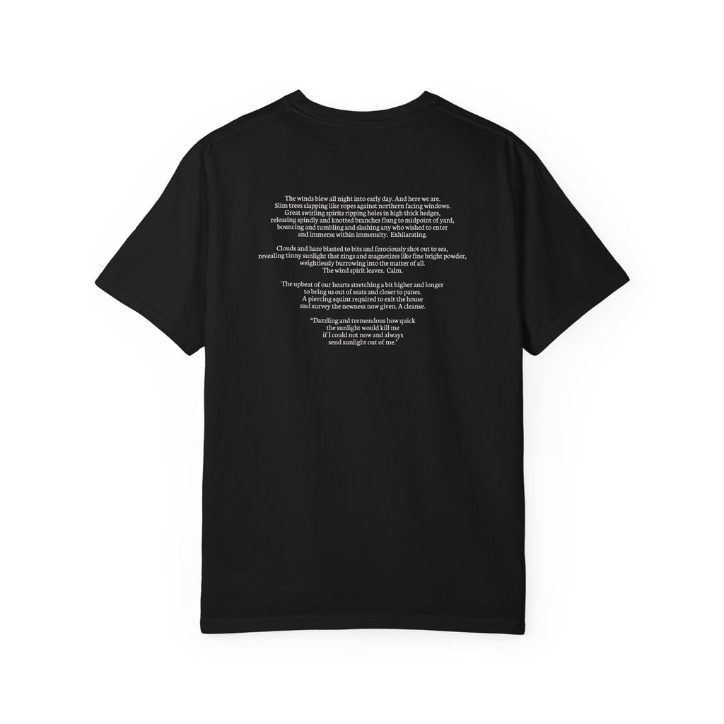 Scott's Story T-shirt